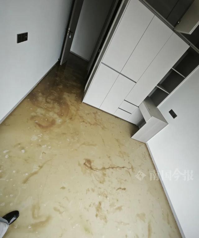 泡！业主崩溃：全屋都是无法接受凯发K8登录入口婚房被粪水浸(图3)