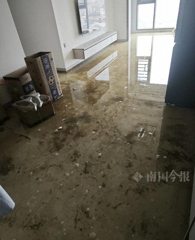 泡！业主崩溃：全屋都是无法接受凯发K8登录入口婚房被粪水浸(图9)
