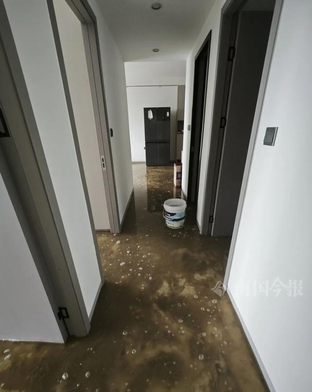 泡！业主崩溃：全屋都是无法接受凯发K8登录入口婚房被粪水浸(图11)