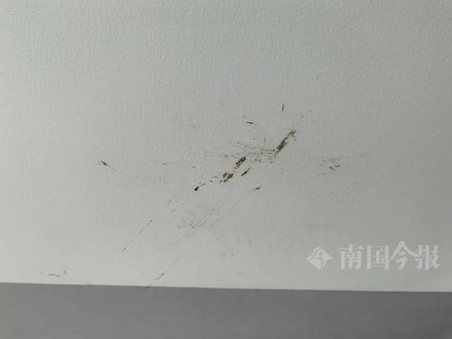 泡！业主崩溃：全屋都是无法接受凯发K8登录入口婚房被粪水浸(图6)