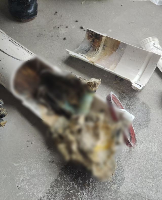 泡！业主崩溃：全屋都是无法接受凯发K8登录入口婚房被粪水浸(图10)